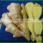 Organic Fresh Ginger Price