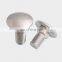 stainless steel carriage bolt m5 m8 m20 15mm 30mm Round head square neck bolt