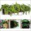 (555) Outdoor Indoor Decorative Vertical Green Wall Oxford Garden Planter