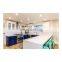 Meuble Cuisine Eco-friendly Lacquer Wood Luxury Cabinet Kitchen Modern Large Storage Closet Kitchen cabinets