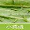 Biofungicide for Cabbage Vegetables Pieris rapae and Plutella xylostella WP Pest Control PrNPV