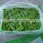 Sinocharm New Season Sweet Crisp Organic Frozen Snow Peas Non Worm IQF Whole Peapod