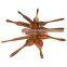 Organic Teak Wood Kitchen Utensil With Spatula Wooden Spoons For Cooking