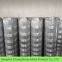 galvanized  fence