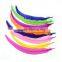 hot sell dyed feather rooster tail feather decor                        
                                                Quality Choice