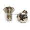 China Screw Factory Stainless Steel Screw High Quality C54400