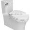 Factory Bathroom Auto-cleaning Toliet Seat & WF-BI106 pp Toilet Bidet