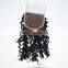 loose wave lace closure with high quality hair side part closure