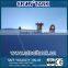 Stainless Steel Hot Water Tank with China National Standard
