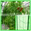 High quality white hdpe cucumber net, plant support net 15*17 15*15 , plants protection net