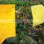 weather condition yellow sticky hanging mosquito ,fly ,insects plastic glue trap