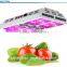 Full spectrum 840w panel grow light led,led grow light for greenhouse and medicine plant