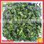Low Price Iqf Bqf Fresh Spinach Ball