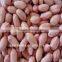 2014 crop Shandong peanut kernels