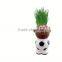 Garden Decoration ceramic planters pot patio pots