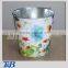 beautiful gardening tin pail