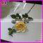 garden decoration individual rose flower with green leaves