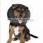 Durable Adjustable Soft Nylon Pet PVC Inflatable Dog Collar