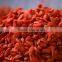 280 Grains Organic Goji Berries