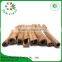 Spices Supplier 20 cm Dry Brown Spicely Organic Cassia Tube