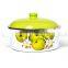 Green Apple Design Decal Printed Cookware Straight Enamel Casserole