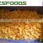 China Frozen Yellow Peach Halves/Slices/Dices
