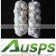 china fresh good quality natural garlic wholesale price