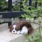 Custom cute stuffed life like breathing sleeping animals toy dog