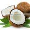 Malaysia Customer Love Coconut Oil Press Production Line, Crude Coconut Oil Refinery