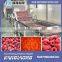 High Quality Fruit Water Processing Production Line With Good Price