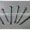2 inch Galvanized concrete nails harden steel nail with factory price