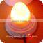 Solar led rechargeable lamp for indoor outdoor use with remote