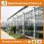 Agricultural Greenhouses For Soilless Hydroponics / Nft Systems For Tropical And Desert Areas