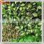 fake green wall of vertical garden materials modules