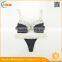 HSZ- 0020 European Hot Images Women Sexy Bra Underwear Push-up Bra Ladies Sexy Panty and Bra Sets