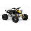 2012 Can-Am DS 90 X