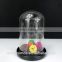 Decorative Clear Glass Dome, Glass Dome Cover with Wooden Base