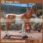 Horse Statues Animal Replicas Fiberglass Animal Life Size