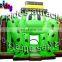 Green Frog inflatable bouncer for Amusement park