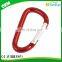 Winho Promotional Mini Carabiner Keychain