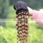 bohemian curl unprocessed brazilian human hair weave colored 1b-27 curly funmi hair extensions