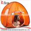 China manufacture line support best factory price pop up camping tent for camping