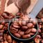 cocoa beans peeler bean cocoa peeling machine cocoa beans peeler for sale