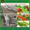 Good performance vegetable and fruit washing machine