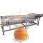 China factory supply vegetable bubble washing machine line for home and industry with good price