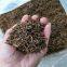 Supply Hubei Enshi black tea selenium rich black tea Lichuan black organic black tea spring tea
