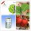 High quality Methyl Salicylate & Winter Green oil (CAS:119-36-8) made in China
