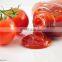 Máquina automática de pasta de tomate y planta de procesamiento de pasta de tomate