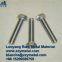 Molybdenum Screws for vacuum furnace application from China