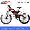 2015 FJ-TDE05 36v 10ah electric wheel hub motor bike li ion battery